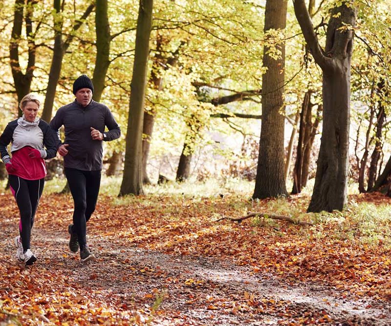 corporate wellness programs